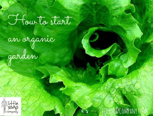 How to start an organic garden_ LittleSoapCompany.co.uk